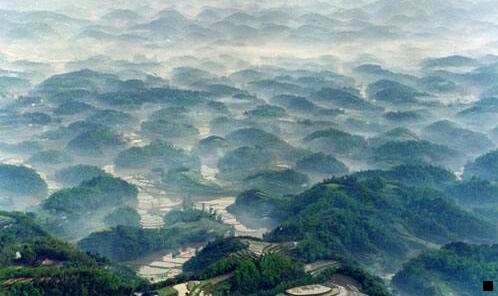 一粉象生活单人地推