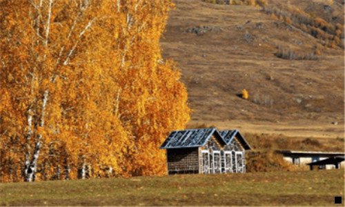 一粉象生活怎么查每天的收入