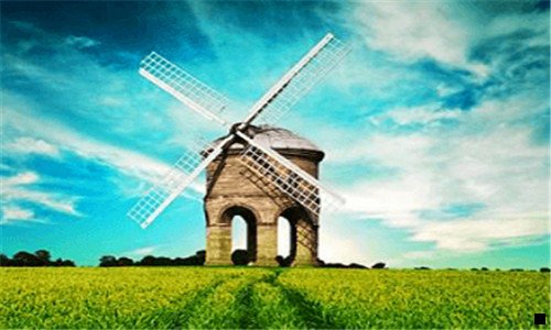 二粉象生活等级制度图