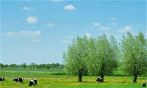 二粉象生活是个什么东西