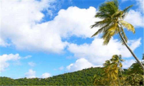 二粉象生活佣金分配模式