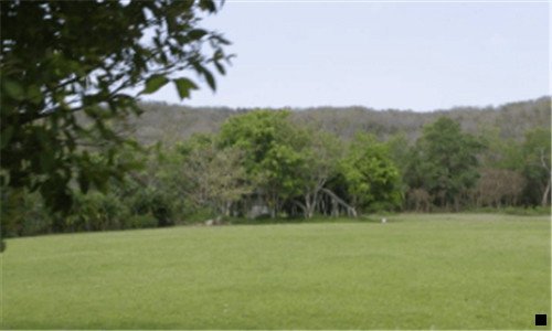 三粉象生活官方APP下载