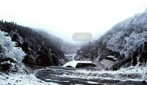 三粉象生活 模式