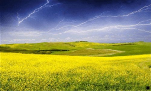 一粉象生活 iP退了怎么办