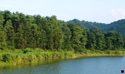 三粉象怎样和上级解绑