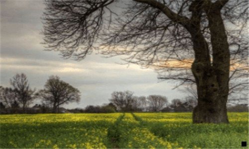 一粉象生活佣金升级找fxsh33