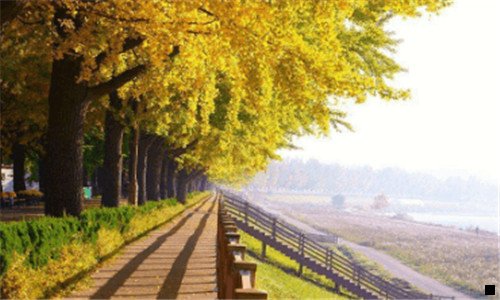 三粉象生活杭州总部地址