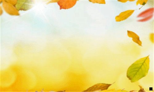 一粉象生活绑定微信