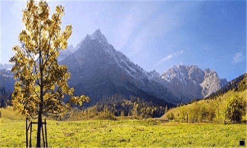 二粉象一个月交68