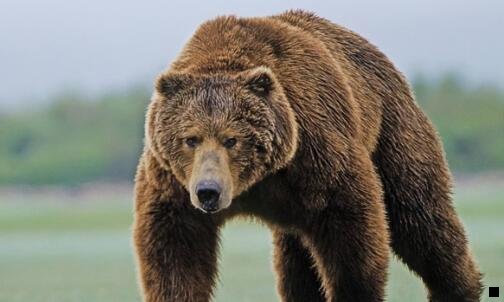 一粉象生活邀请码4y9n3y