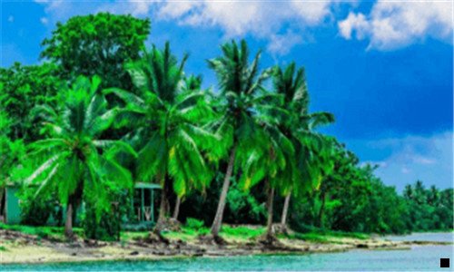 一粉象生活创始人团队