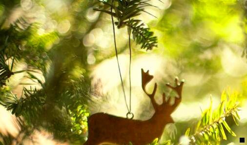 一粉象生活如何获得自己的邀请码