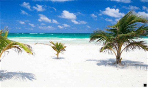 二粉象生活靠谱吗