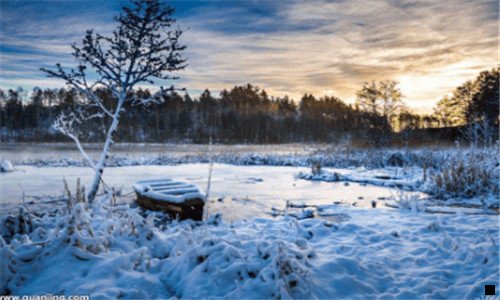 一粉象生活地推战甲图片