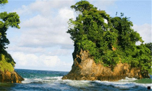 三粉象生活粉丝买东西我能赚佣金吗