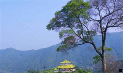 二粉象生活靠谱吗