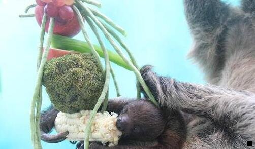 二粉象生活官方正版app