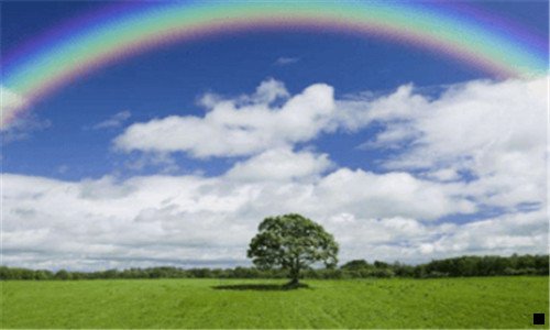 三粉象生活收益模式