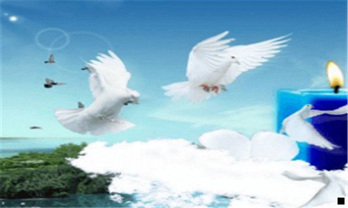 一粉象生活怎样填邀请码