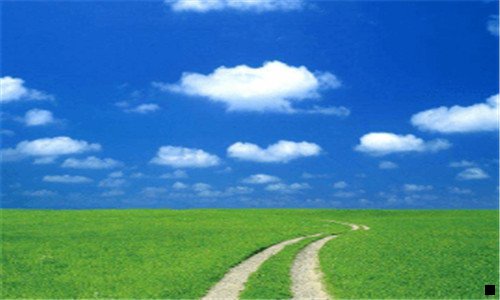 二粉象引流方法