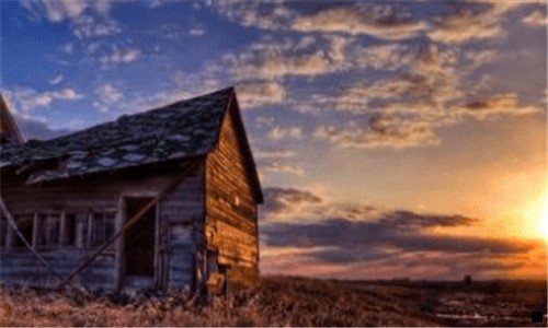 三粉象生活规则有哪些