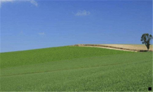 二粉象授权不了淘宝