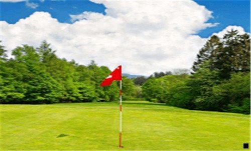 一粉象生活官网