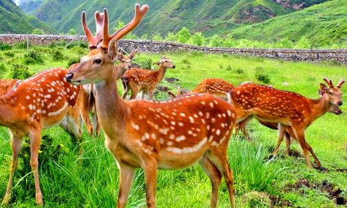 二马云如何评价粉象生活的