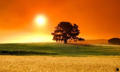 一粉象生活和51券那个好