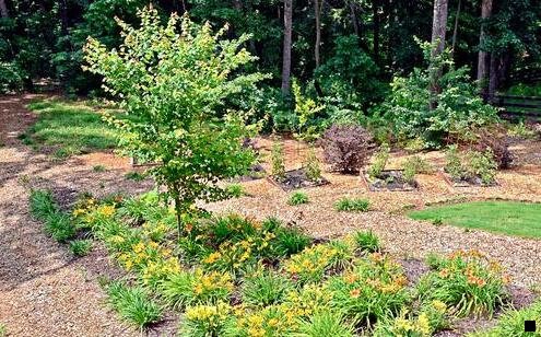 一粉象生活近期活动