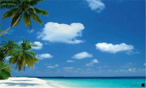 二小笨象青年公寓