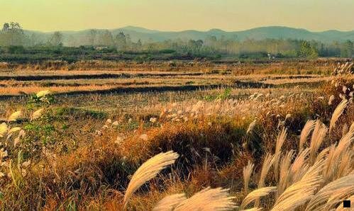 二粉象生活靠谱吗