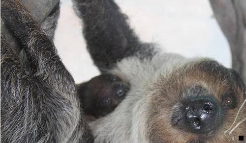 一粉象生活的美团在哪