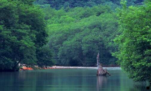 三粉象生活挣钱是真的吗