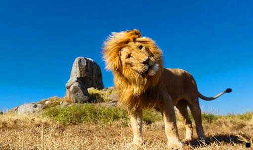 二粉象如何注销重新注册