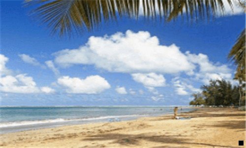 三马云如何评价粉象生活的