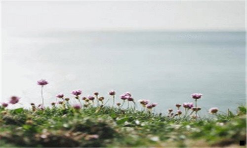 二延边医院崔演