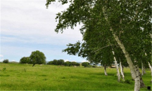 一粉象一键加油的钱是在哪里扣