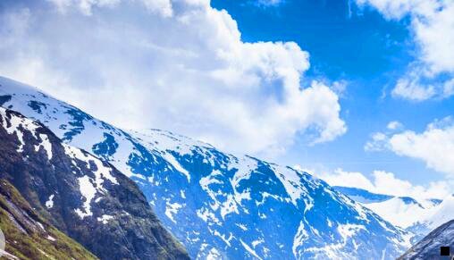 一粉象生活官网码 559252