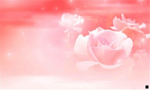 三粉象生活和美逛区别