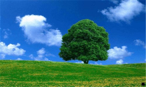 二深粉象啤酒多少钱一瓶