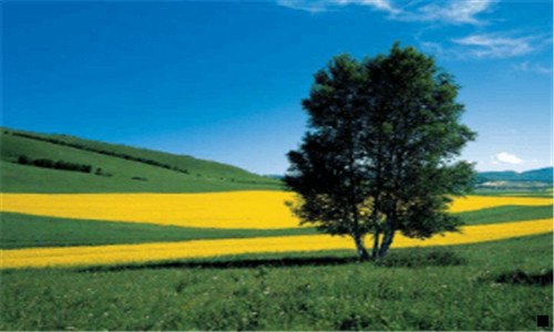 二粉象生活订单怎么退款