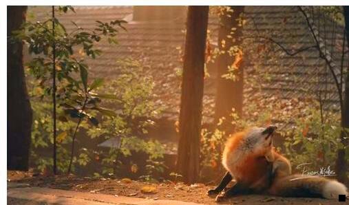 一粉象生活邀请码睹061929睹