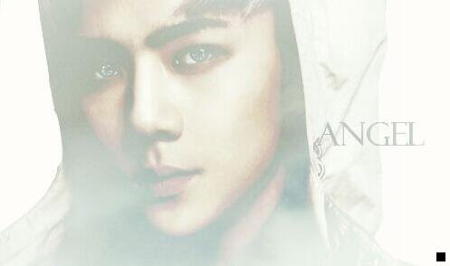 一樱桃粉象啤酒酒精度