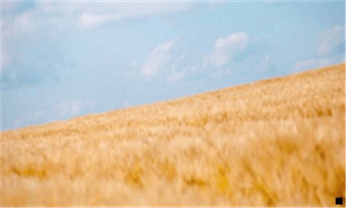 三科罗娜染发剂好吗