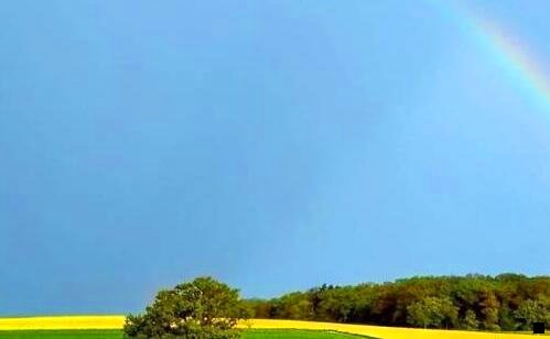 一粉象生活能省多少钱