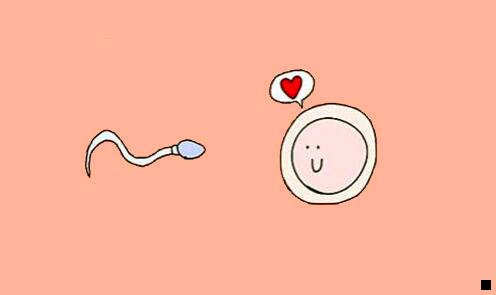 一粉象生活新手任务视频