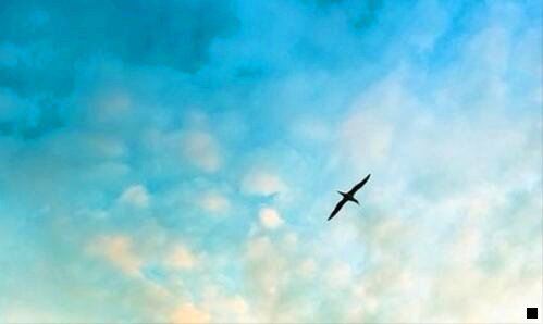 一粉象生活新人专区