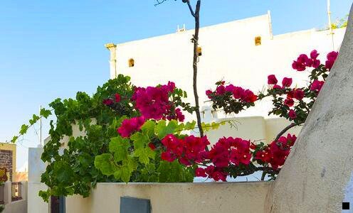 二哪个是粉象真正的官网邀请码