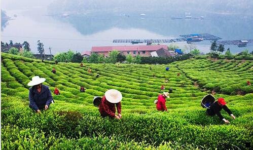 一国内强生爽身粉还能用吗
